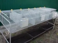 Клетка для кролей ( самцов) КС-6С